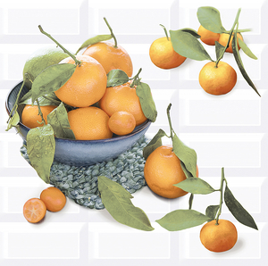Панно Вог Цитрус/Vogue Citrus 2