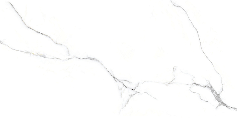 Керамогранит Bianco Venatino, 60х120