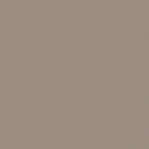 RW041 60x60 Неполированный